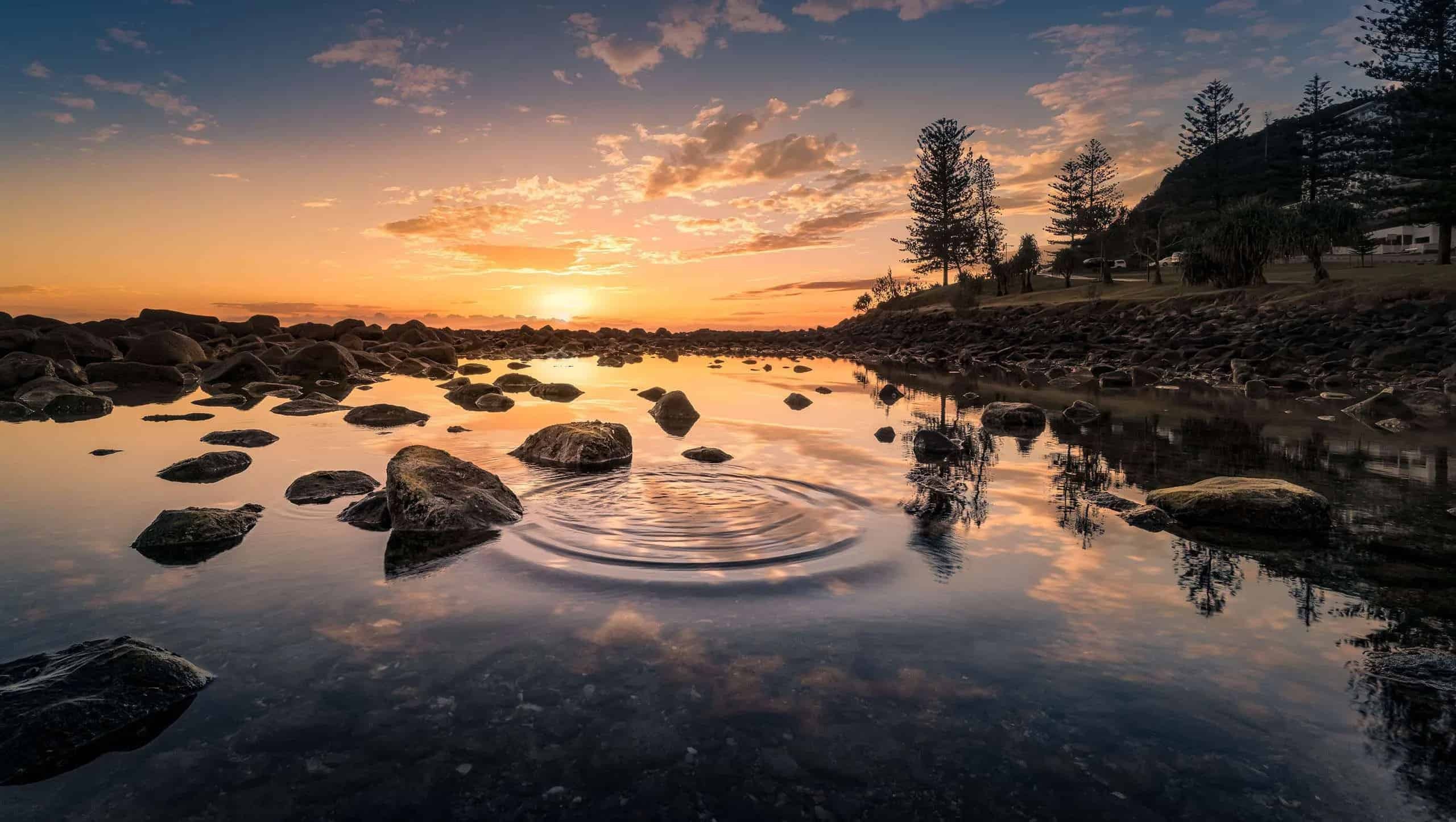 Ground level shot of water, rocks, and trees at sunset.